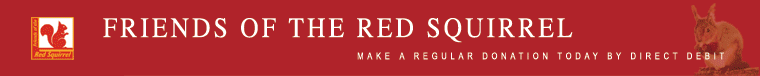 main red alert logo consisting of squirrel on crimson background